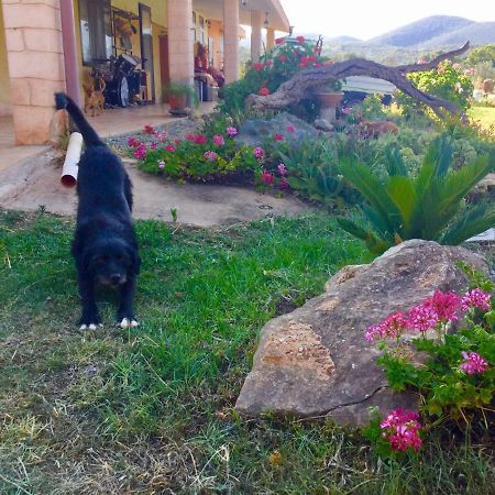 Agriturismo Sogno Latino Iglesias Εξωτερικό φωτογραφία