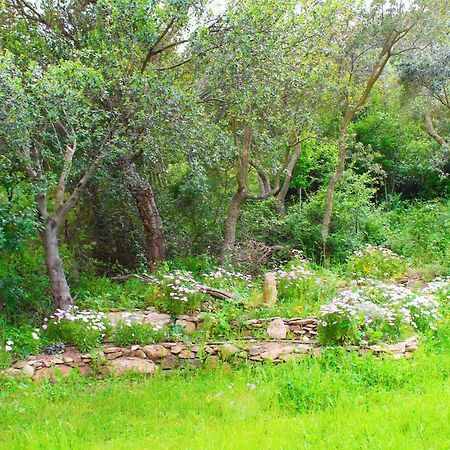 Agriturismo Sogno Latino Iglesias Εξωτερικό φωτογραφία