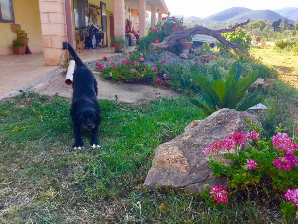 Agriturismo Sogno Latino Iglesias Εξωτερικό φωτογραφία