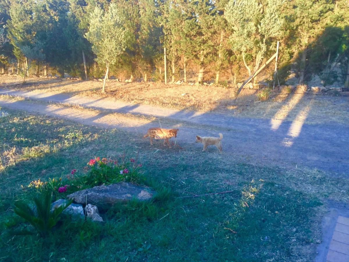 Agriturismo Sogno Latino Iglesias Εξωτερικό φωτογραφία