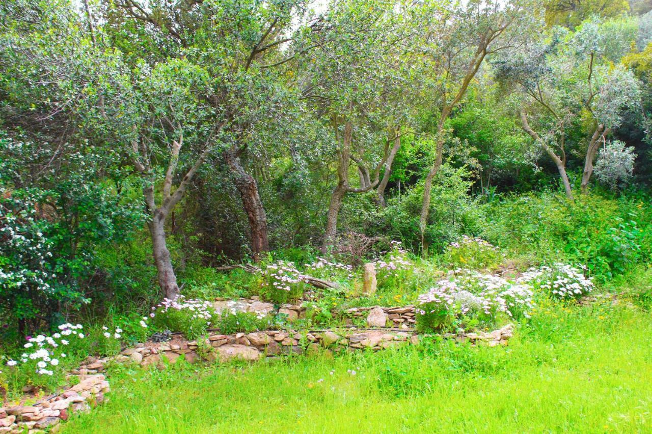 Agriturismo Sogno Latino Iglesias Εξωτερικό φωτογραφία